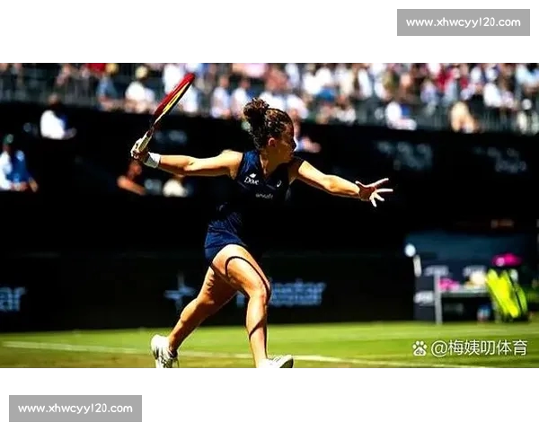 全方位解析体育分析PC版:提升竞技水平的必备工具